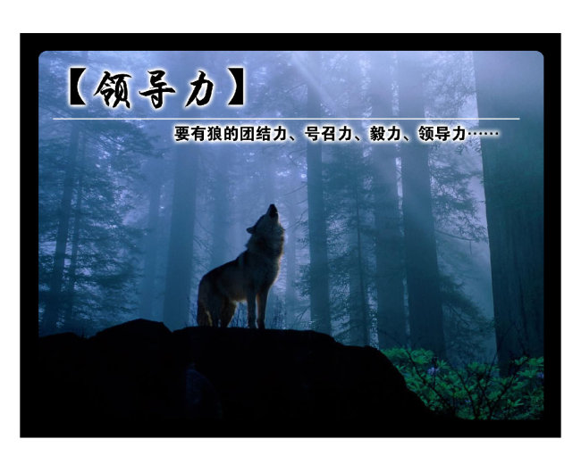 哪一類領(lǐng)導(dǎo)最容易具備卓越的領(lǐng)導(dǎo)力