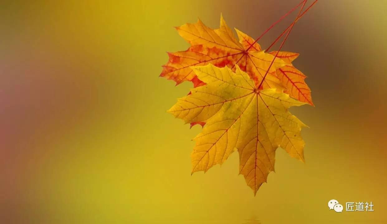 蔣小華：你的品格與修養(yǎng)，為何一看便知？